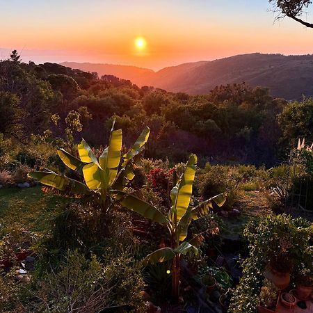 Cefalu Forest Hideout Exterior photo